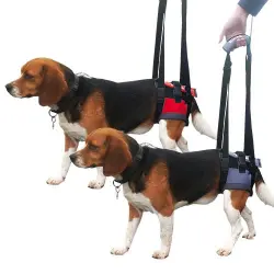 Transportador - Arnés de mano para perros con parálisis en patas delanteras o traseras HANDY CANIS disponible en varias tallas Talla XS