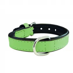 Collar Gloria Pets De Piel Acolchado Color Verde Para Perros 40cm x 20mm