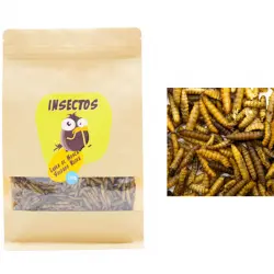 Larvas de Mosca Soldado Negra para Pájaros, Peces, Tortugas, Roedores y Reptiles – 400g - Black Soldier Fly – Snack de proteínas para Animales