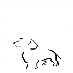 Ilustración de Terrier A4 sin marco color Blanco