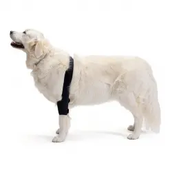 Protector de Codo izquierdo para Perros con Artrosis, Lesiones, Higromas o Bursitis