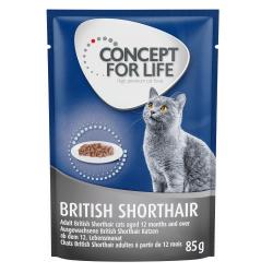 Concept for Life comida húmeda para gatos 24 x 85 g ¡con descuento! - British Shorthair Adult