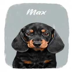 Mascochula max retrato realista personalizado en lámina con tu mascota gris