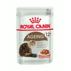 Royal Canin Senior +12 sobre en salsa para gatos