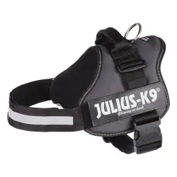 Arnés JULIUS-K9® Power antracita para perros - Talla 2