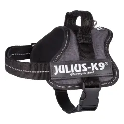Arnés JULIUS-K9® Power antracita para perros - Talla Mini