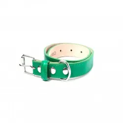 Loyal collar rocco verde para perros