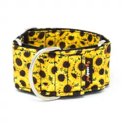 candyPet Collar Martingale para Perros - Modelo Amarillo, S