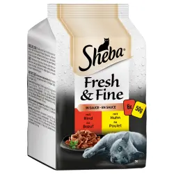 Sheba Fresh & Fine 12 x 50 g - Pack Ahorro - Colección refinada en salsa