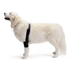 Protector de Codo derecho para Perros con Artrosis, Lesiones, Higromas o Bursitis