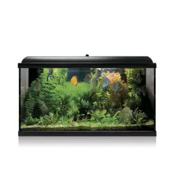 Kit AQUA-LED PRO  100 NEGRO con filtro interiork47,2x30,9x80cm