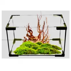 Akkua acuario pro black 30 trasparente