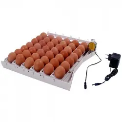 Finca casarejo bandeja de volteo automático para huevos