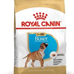Royal Canin Boxer Junior 3 Kg.