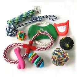 Set juguetes para perro color Multicolor