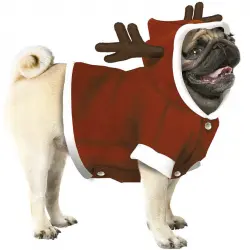 Disfraz de Reno de Papá Noel para perro