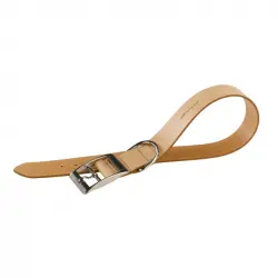 Collar Cuero Natural Beige para perros Ferplast, Tallas 35-43 Cms