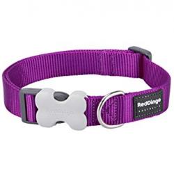 Collar Red Dingo para perros Classic Morado S