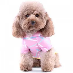 Suéter Chispa Neosticks para perros color Rosa