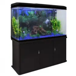 Acuario De 300l Con Mueble Negro, Accesorios Y Grava Azul