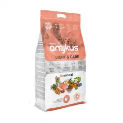 Amykus Original Light&Care