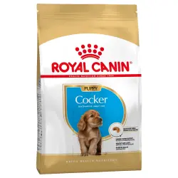 Royal Canin Cocker Junior 3 Kg.