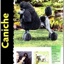 Caniche (Excellence)