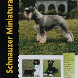 Schnauzer Miniatura (Excellence)
