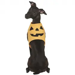 Disfraz de Calabaza Halloween para perro