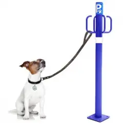 Náyade System Dog Parking Post: Poste Parking Exterior Con 4 Ganchos. Color Azul