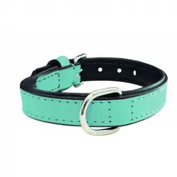 Collar Gloria Pets De Piel Acolchado Color Azul Para Perros 45cm x 20mm