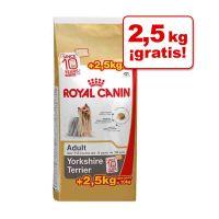 Royal Canin Labrador Retriever Adult 12 Kg. +2Kg