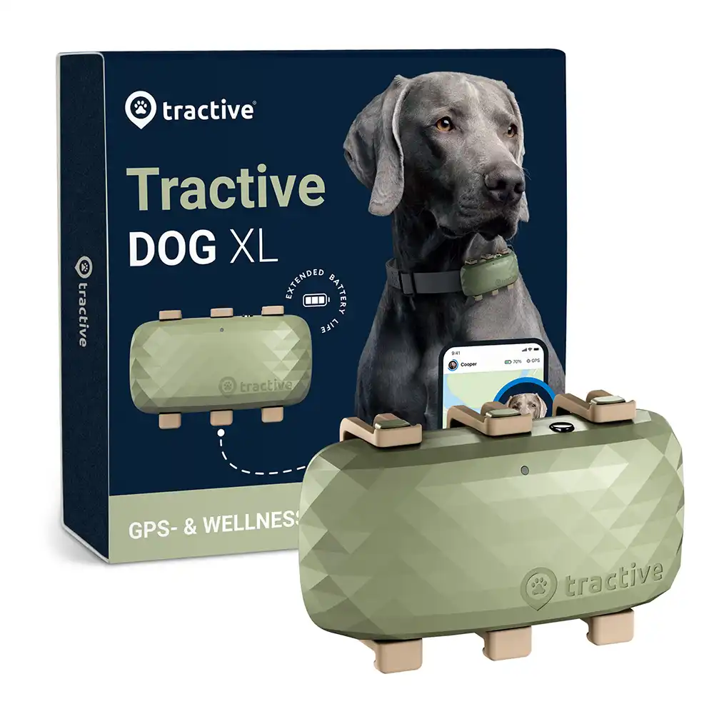 Localizador Tractive XL GPS para perros - 1 unidad