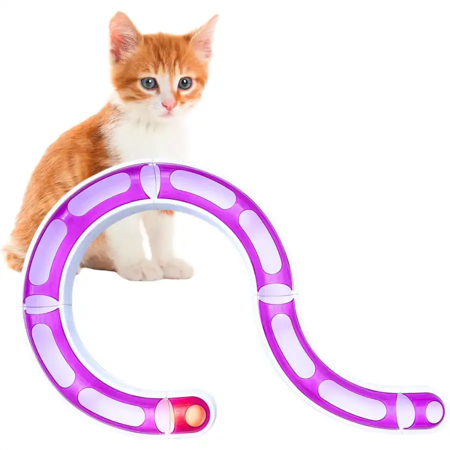 Serpiente para Gatos. Circuito Gatos Interactivo. s para Gatos. s Interactivos para Gatos. Cat Toys. Pelota para Gatos. Rueda Giratoria para Gatos
