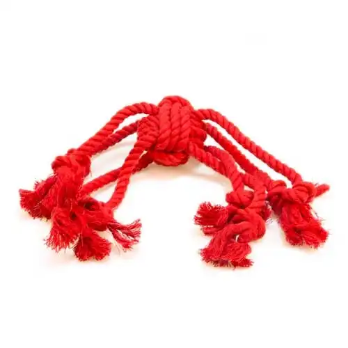 TK-Pet Octopus Mordedor de Cuerdas para perros