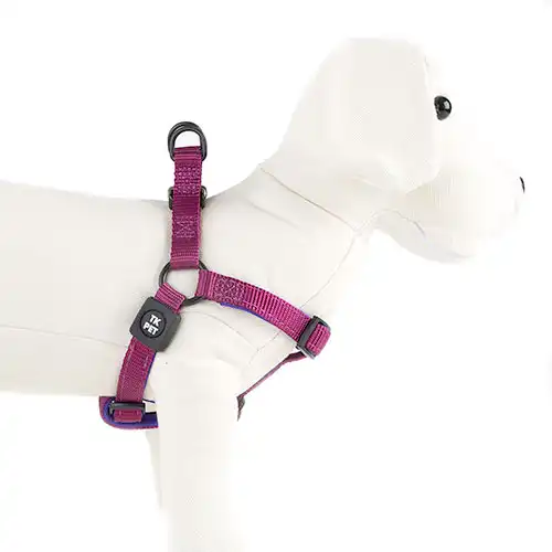 TK-Pet Neo Classic Arnés de Nylon Morado para perros