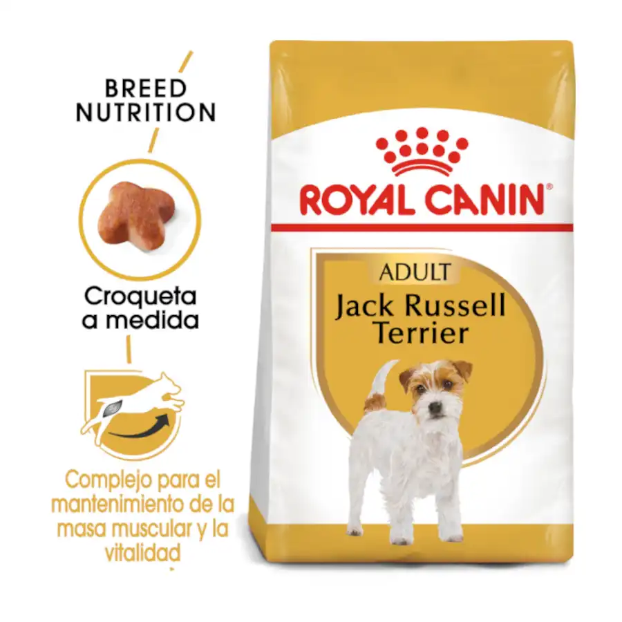 Royal Canin Jack Russell Terrier Adult 3 Kg.