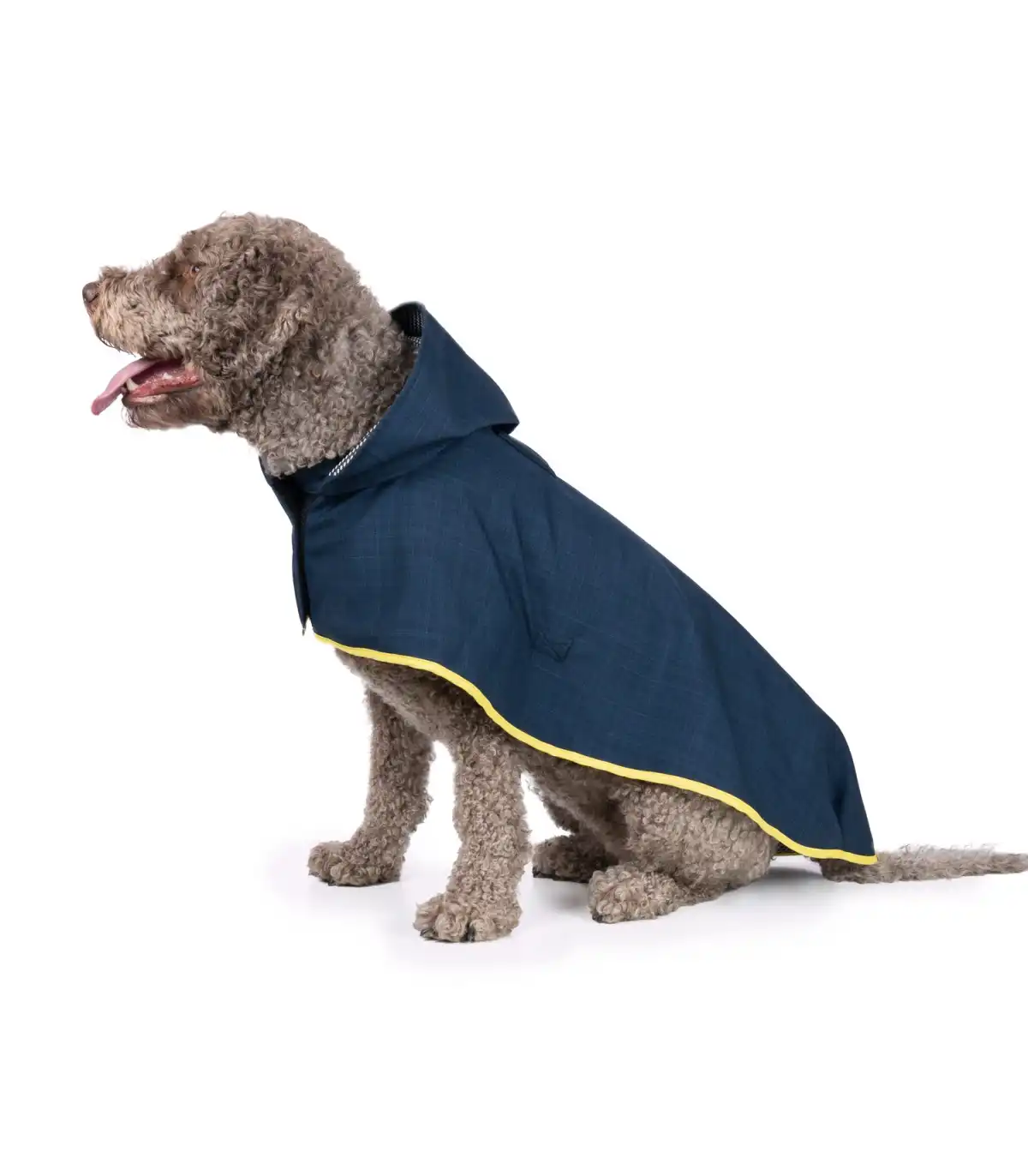 Capa de Lluvia para perro Groc Groc Lola 3 Softshell Azul Marino