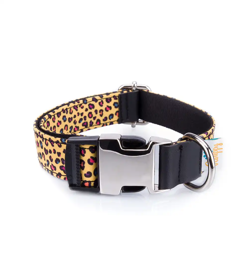 Collar Pamppy  Funny Leopardo amarillo para perros