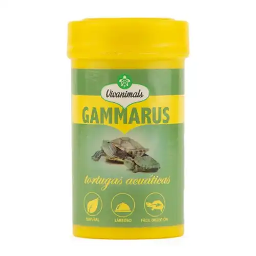 Vivanimals Gammarus para tortugas