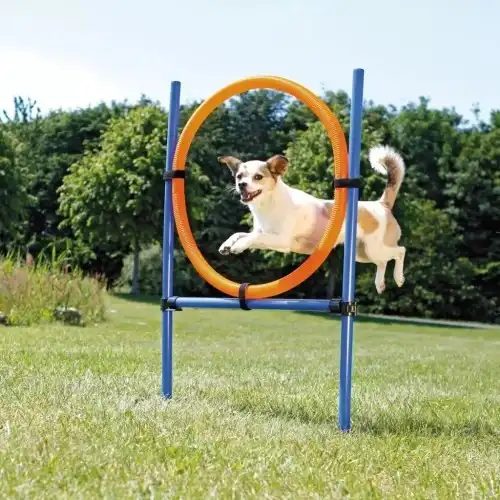 Trixie Anillo Salto Agility, 115xØ 3Cm, Ø 65 Cm