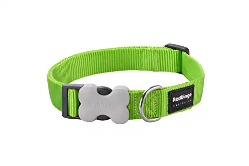 Collar Red Dingo para perros Classic Lima XL