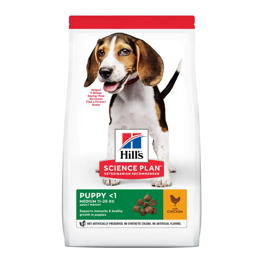 Hill's Science Plan Puppy Medium pollo pienso para perro