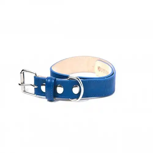 Loyal collar rocco azul para perros