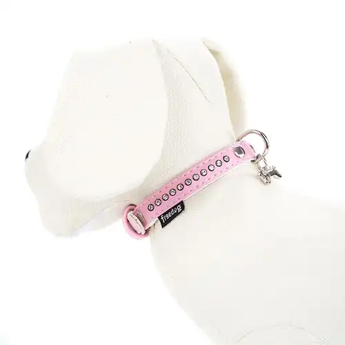 Freedog Collar con Tachuelas Rosa para perros