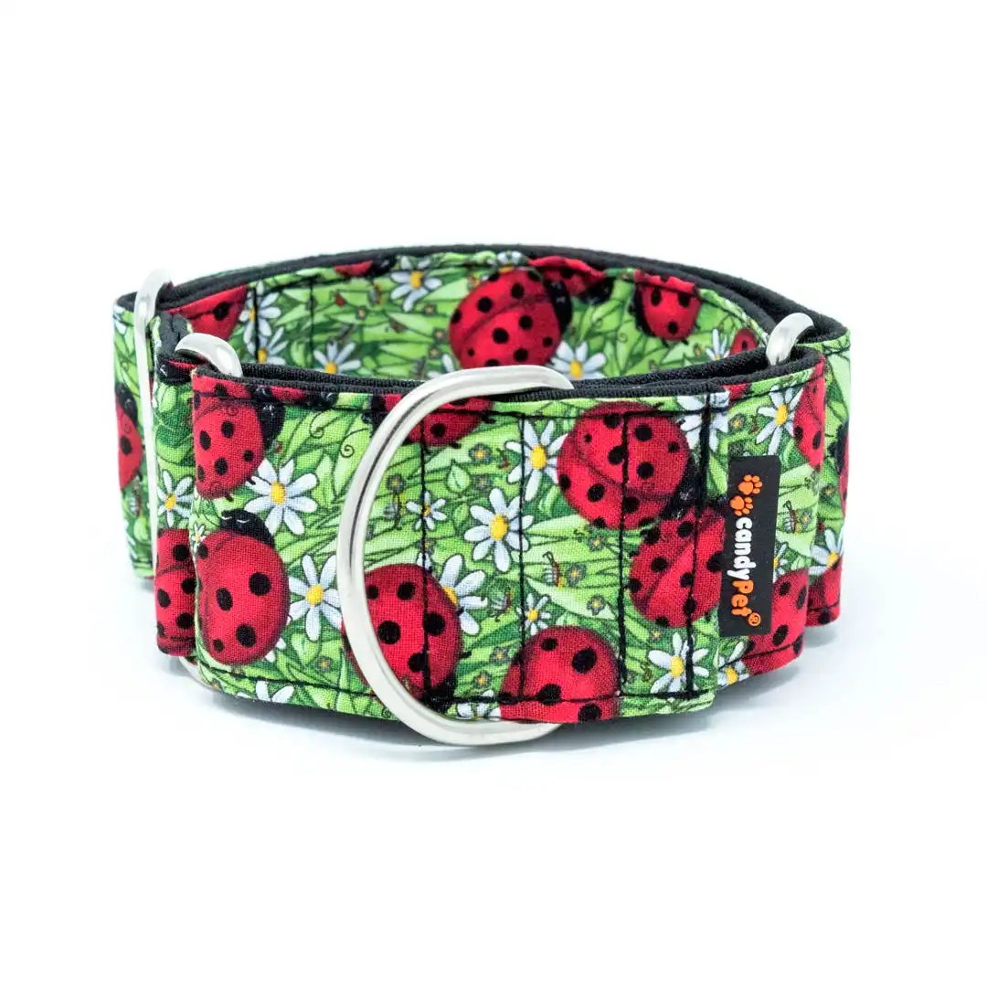 candyPet Collar Martingale para Perros - Modelo Mariquitas, ANCHO ESPECIAL