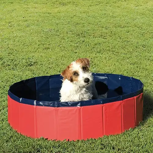 Piscina para perros Ibáñez PISCINA - MEDIDA L