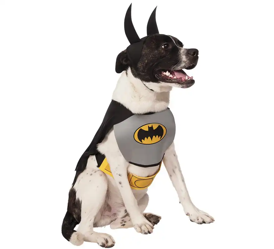 Disfraz de Batman Clásico para perro