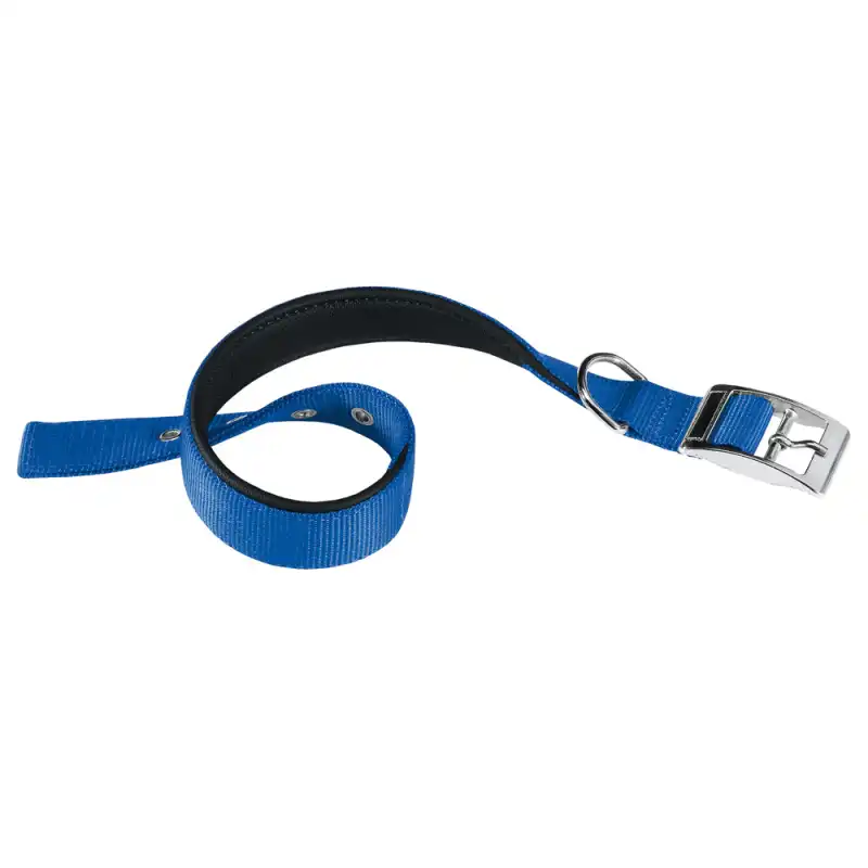 Ferplast Collar Nylon Daytona Azul L