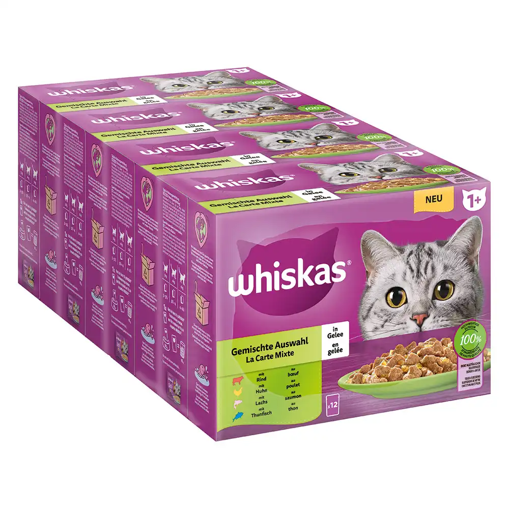 Megapack Whiskas 1+ años 48 x 85 g en bolsitas - Selección mixta en gelatina (48 x 85 g)